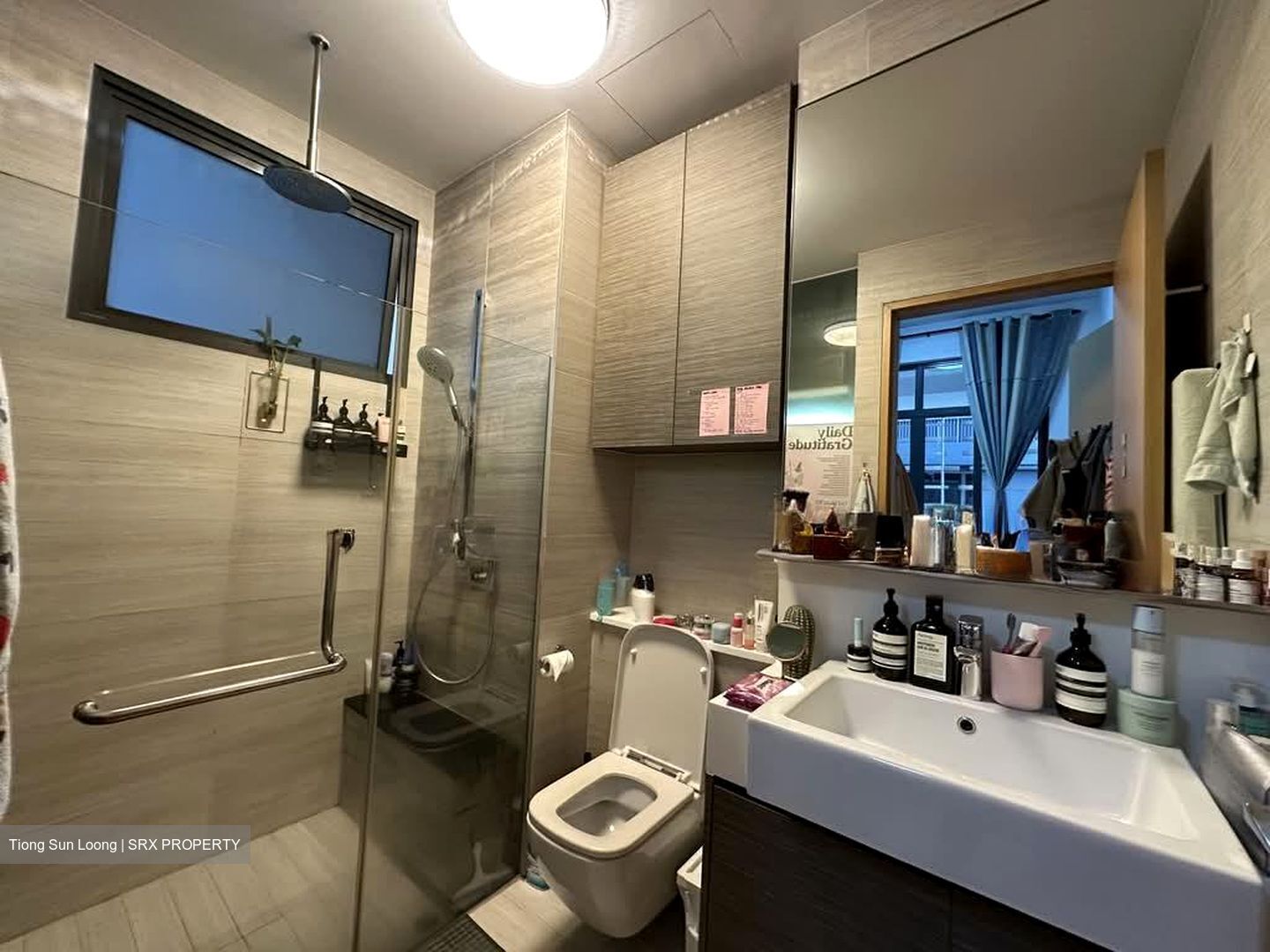 The Creek @ Bukit (D21), Condominium #565900781